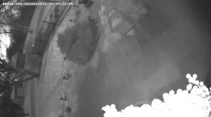 Caméra IP - États-Unis d'Amérique