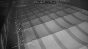 Caméra IP - Taiwan, Province of China