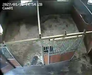 Caméra IP - Niederlande