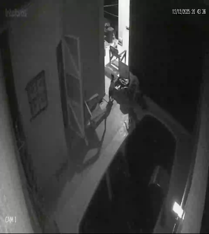 Caméra IP - Vue en direct