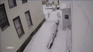 Caméra IP - États-Unis d'Amérique