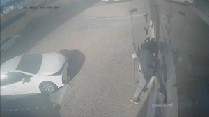 Caméra IP - Émirats Arabes Unis