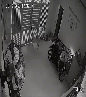 Caméra IP - Vietnam