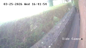 Caméra IP - Irlande