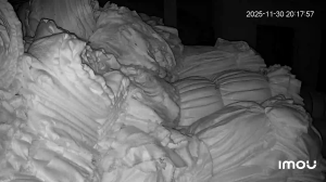 Caméra IP - Vietnam