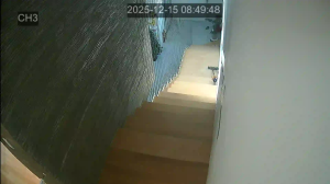 Caméra IP - South Korea