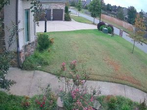 Caméra IP - Vereinigte Staaten von Amerika