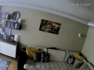 Caméra IP - Bulgaria