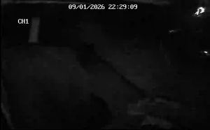 Caméra IP - Alemania