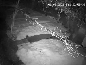 Caméra IP - Russian Federation