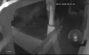 Caméra IP - Italien