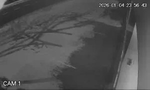 Caméra IP - Belgium