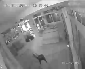 Caméra IP - Italien