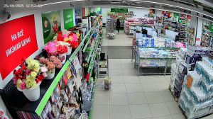 Caméra IP - Russie