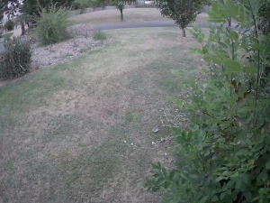 Caméra IP - Australia