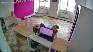 Caméra IP - Russie