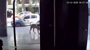 Caméra IP - Argentine