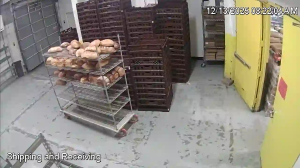 Caméra IP - United States of America