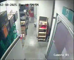 Caméra IP - Australia