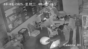 Caméra IP - Cina