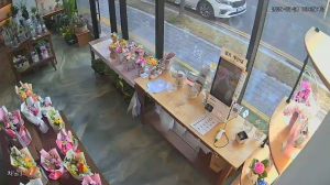 Caméra IP - Corea del Sud