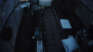 Caméra IP - United States of America