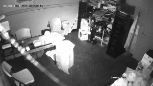 Caméra IP - États-Unis d'Amérique