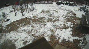 Caméra IP - United States of America