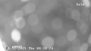 Caméra IP - Ireland