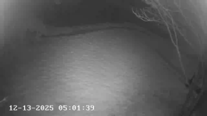 Caméra IP - États-Unis d'Amérique