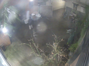 Caméra IP - Rumänien