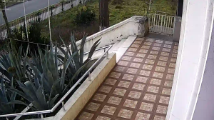 Caméra IP - Géorgie