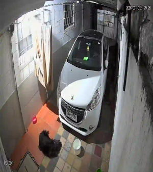 Caméra IP - Uruguay