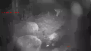 Caméra IP - Czech Republic