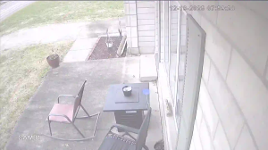 Caméra IP - United States of America