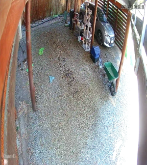 Caméra IP - Uruguay