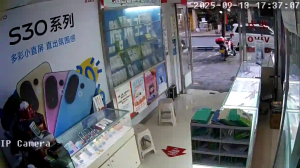 Caméra IP - China
