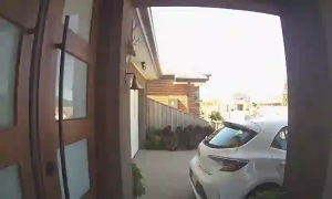 Caméra IP - Australia