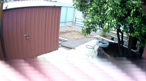 Caméra IP - Australia