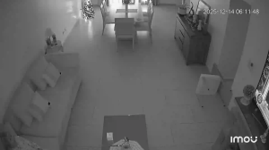 Caméra IP - Argentina