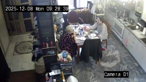 Caméra IP - Russian Federation