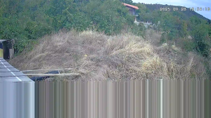 Caméra IP - Bulgaria