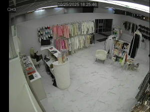 Caméra IP - Russian Federation