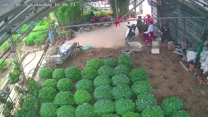 Caméra IP - Vietnam