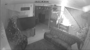 Caméra IP - États-Unis d'Amérique