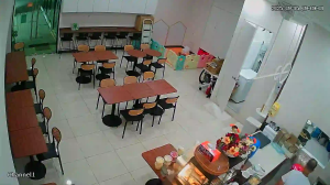 Caméra IP - Malesia