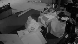 Caméra IP - United States of America