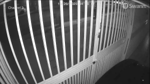 Caméra IP - Porto Rico