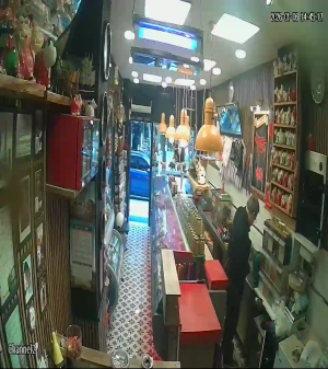 Caméra IP - Türkei