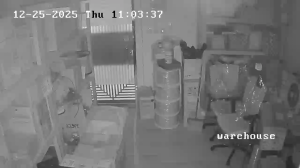 Caméra IP - Hong Kong